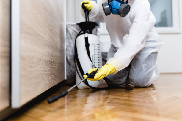 Best Mosquito Control Services  in Ly Lake, IL
