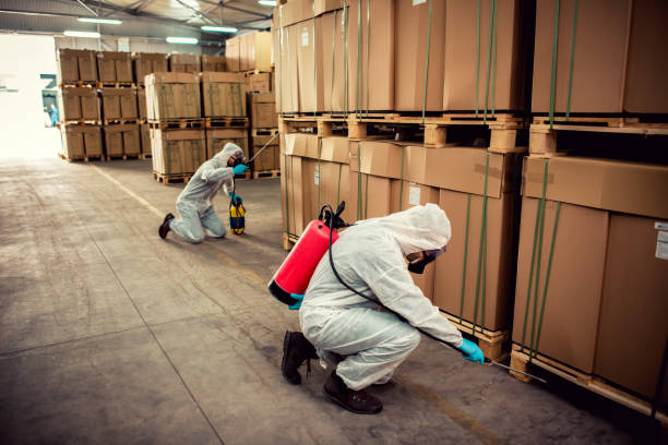 Best Best Pest Control Near Me  in Ly Lake, IL