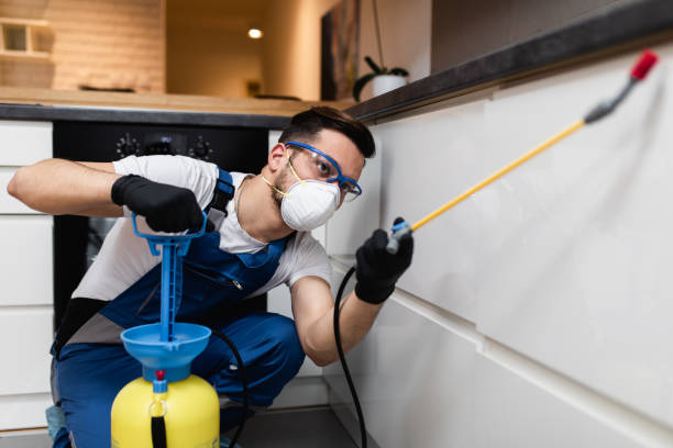 Best Affordable Pest Control Services  in Ly Lake, IL