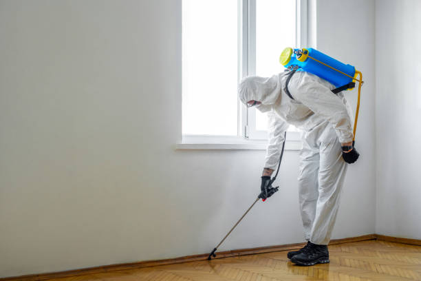 Best Best Pest Control Companies  in Ly Lake, IL