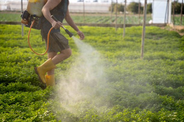 Best Pest Control Near Me in Lily Lake, IL