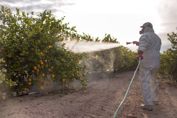 Best Best Pest Control Companies  in Ly Lake, IL