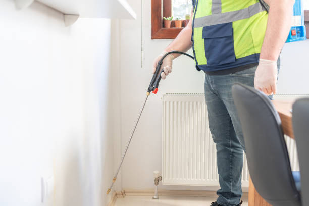 Best Termite Control Services  in Ly Lake, IL