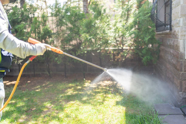 Best Ant Control Services  in Ly Lake, IL