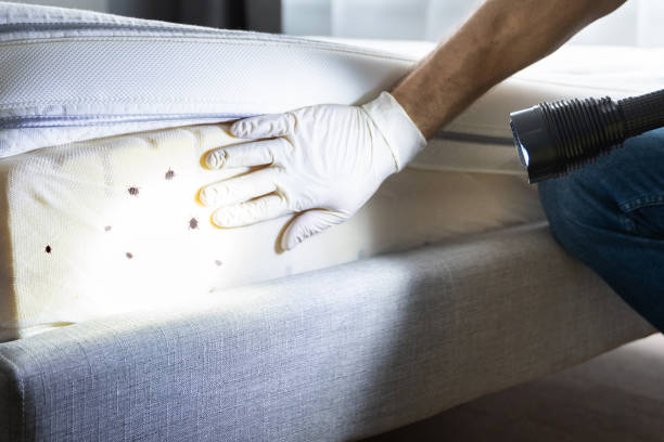 Best Pest Inspection Near Me  in Ly Lake, IL