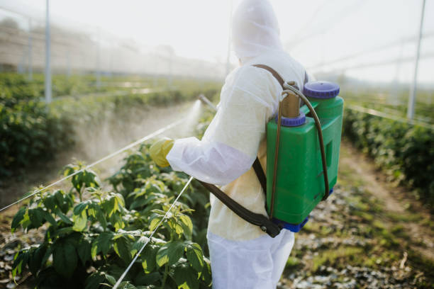 Professional Pest Control in Lily Lake, IL